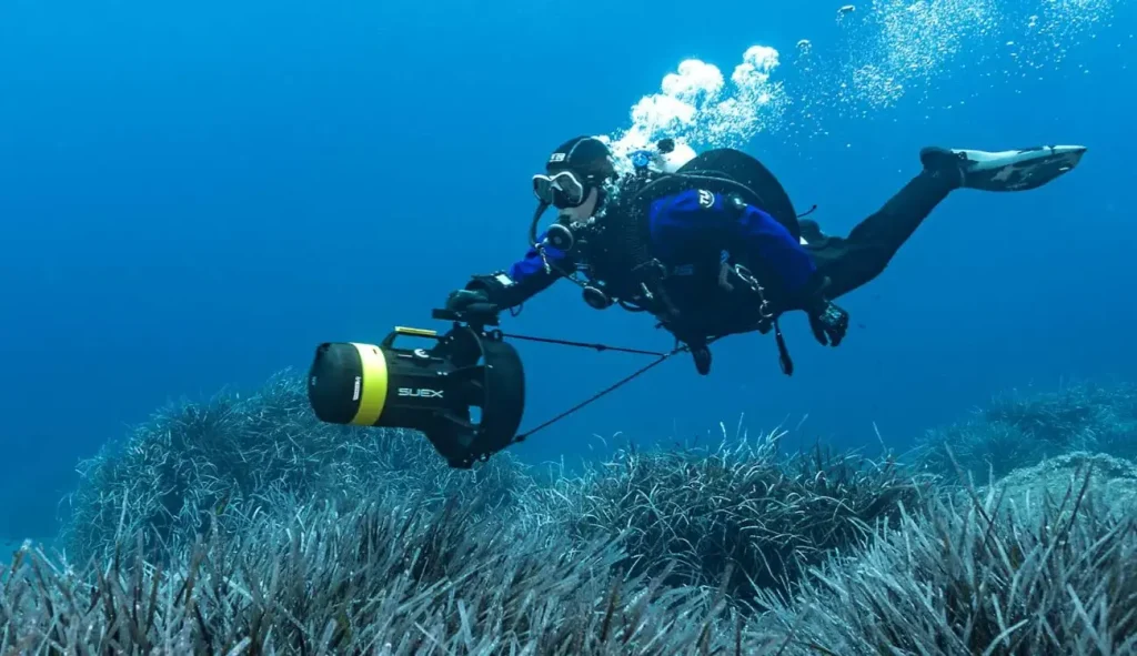 dpv diving san carlos