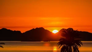 sunrise sea of cortez